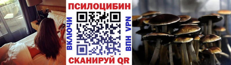 Псилоцибиновые грибы Psilocybine cubensis  где можно купить наркотик  Ишим 