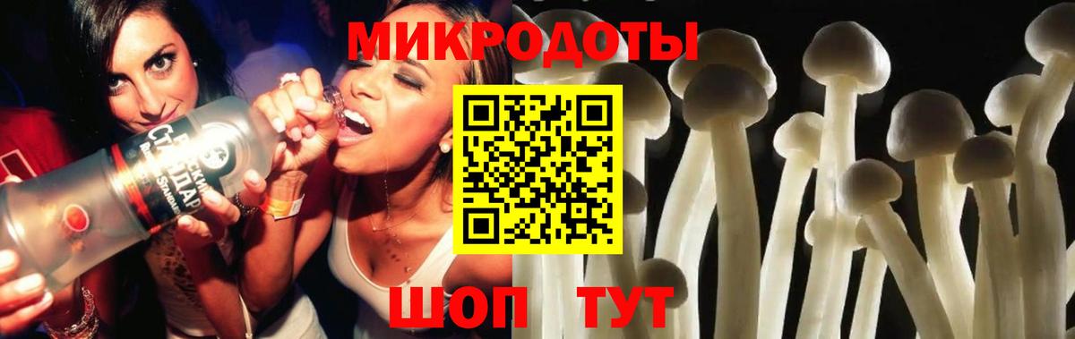 Ишим  Псилоцибиновые грибы Cubensis  Галлюциногенные грибы мицелий  Вход с VPN 